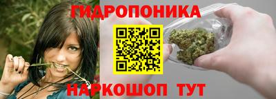 гашик Жуковский